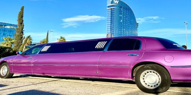 Lincoln-rosa-en-hotel-w